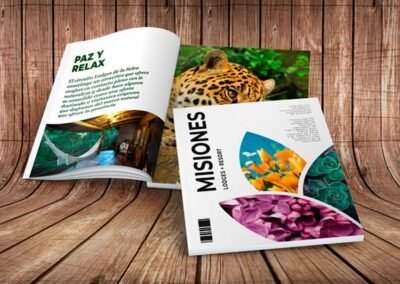 impresion-papeleria-corporativa-revistas-catalogos-publicaciones--imprenta-la-impresion-posadas-misiones